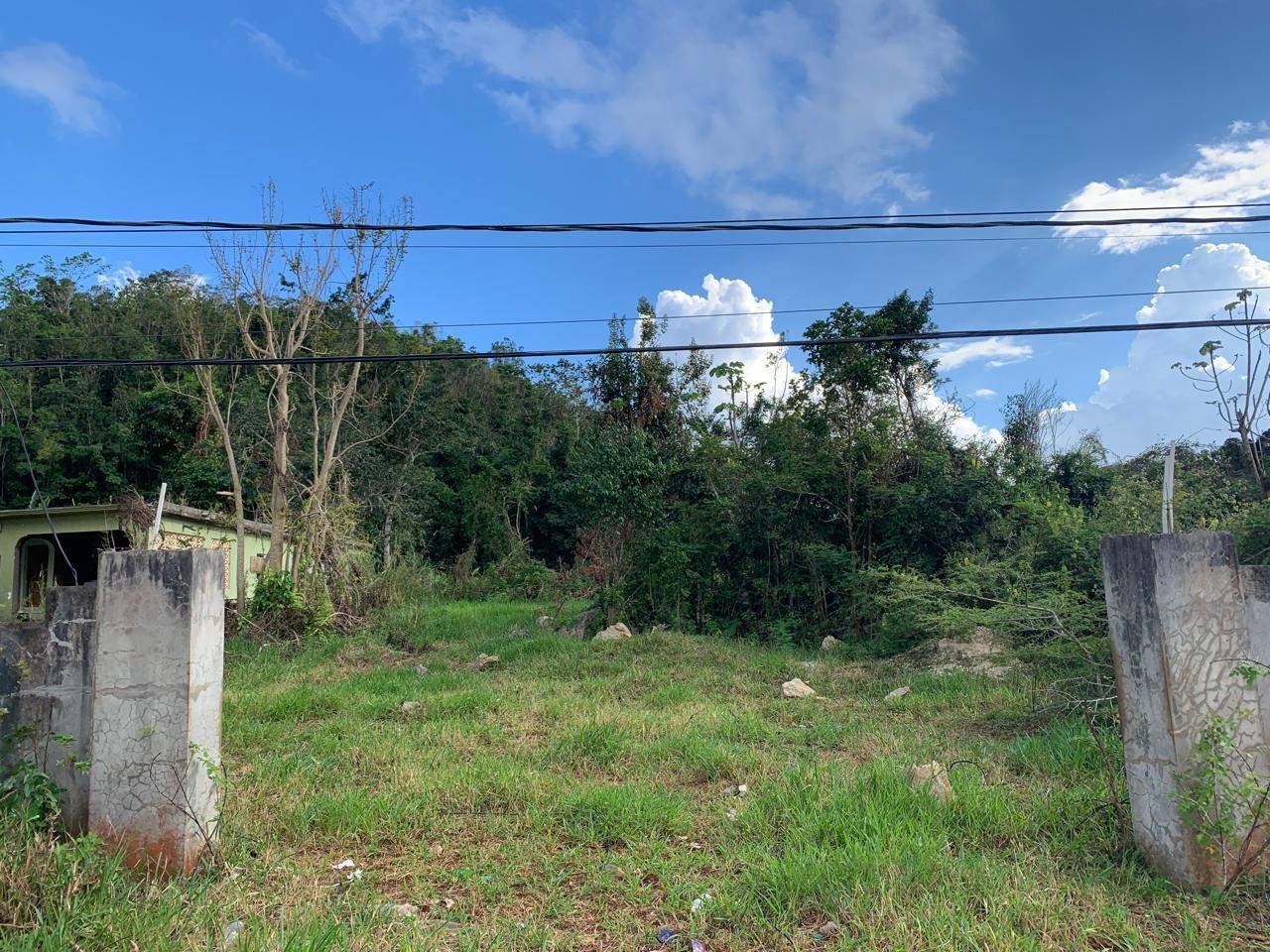 Second image of Lot 14 Red Bank in Hatfield, Manchester, Jamaica - property is For Sale