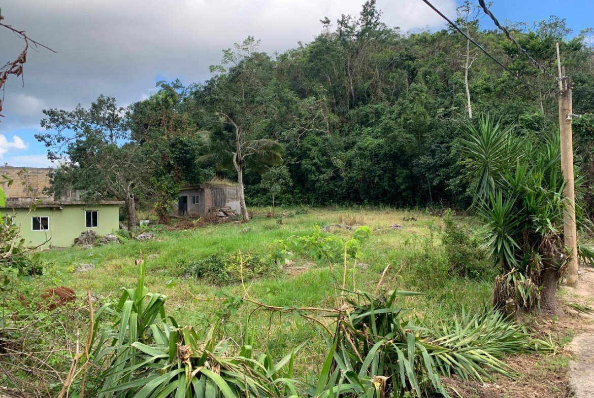 First image of Lot 14 Red Bank in Hatfield, Manchester, Jamaica - property is For Sale