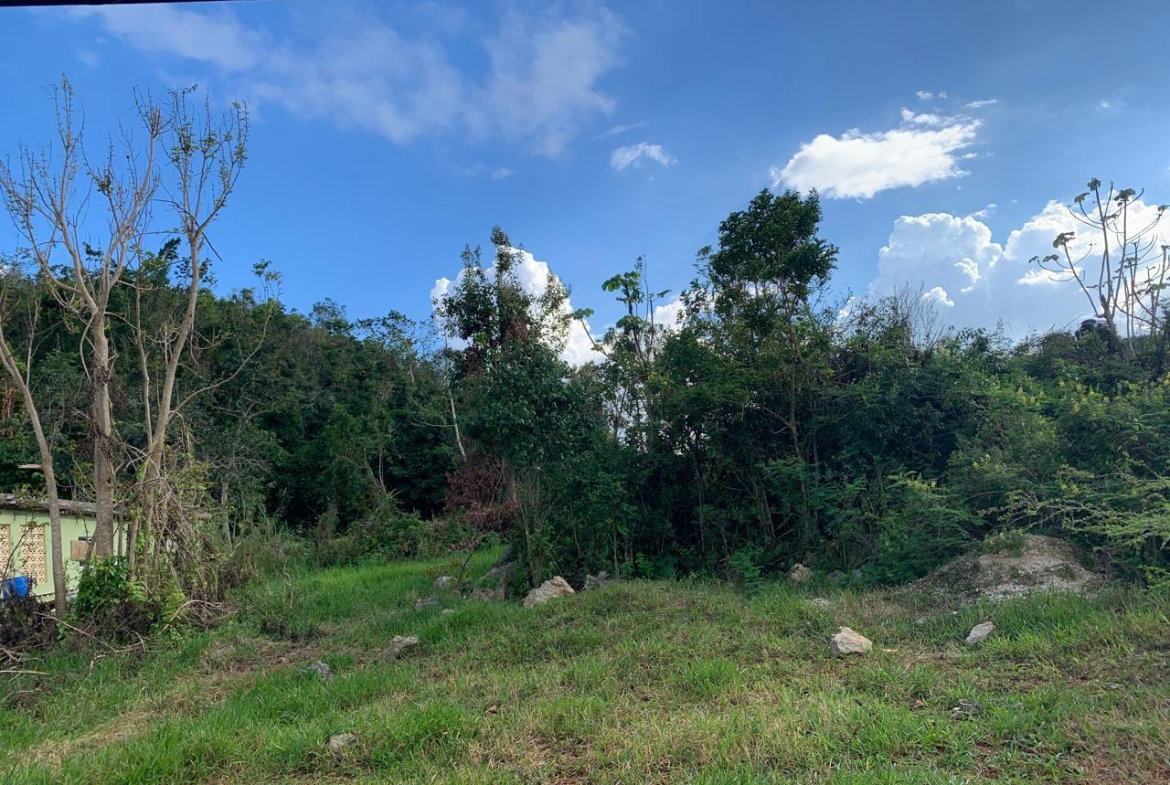 Third image of Lot 14 Red Bank in Hatfield, Manchester, Jamaica - property is For Sale