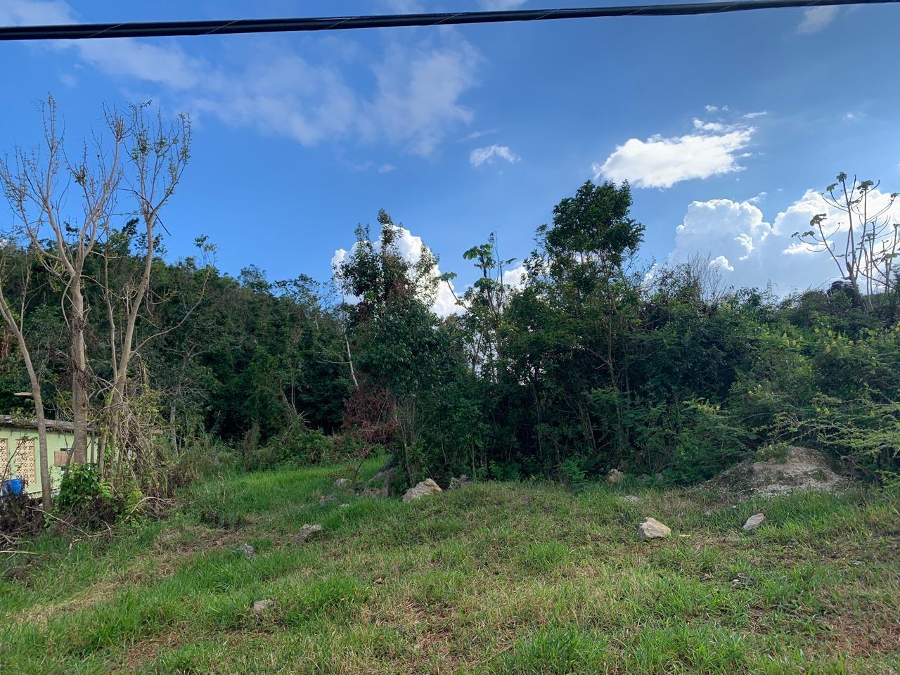 Third image of Lot 14 Red Bank in Hatfield, Manchester, Jamaica - property is For Sale