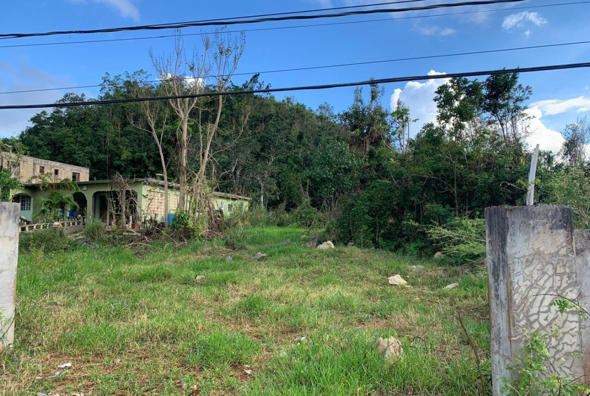 Sixth image of Lot 14 Red Bank in Hatfield, Manchester, Jamaica - property is For Sale