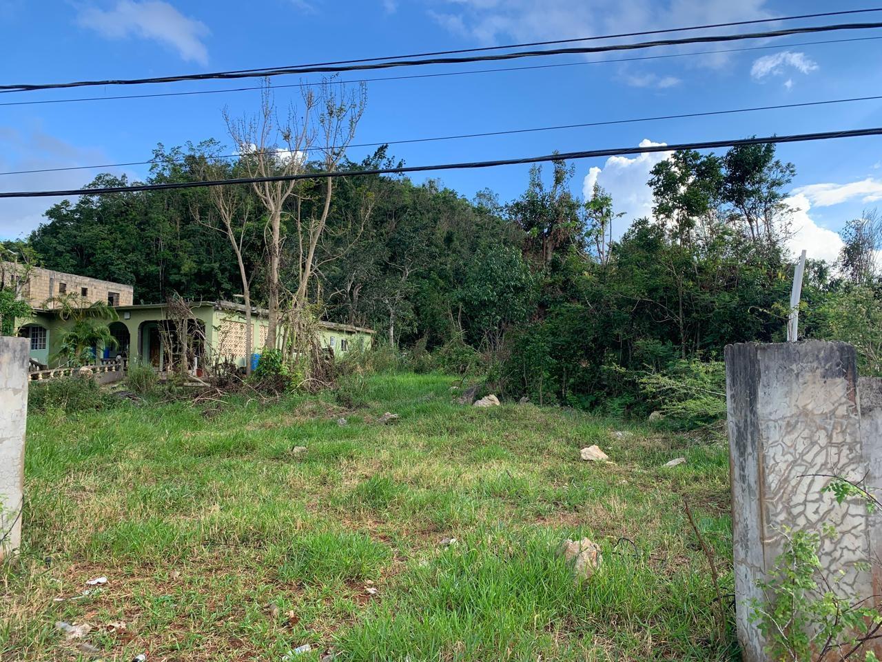 Sixth image of Lot 14 Red Bank in Hatfield, Manchester, Jamaica - property is For Sale