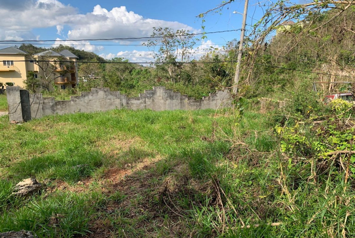 Seventh image of Lot 14 Red Bank in Hatfield, Manchester, Jamaica - property is For Sale