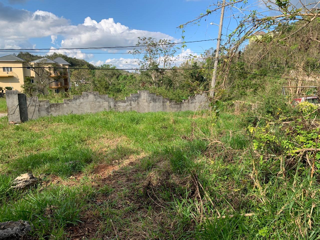 Seventh image of Lot 14 Red Bank in Hatfield, Manchester, Jamaica - property is For Sale