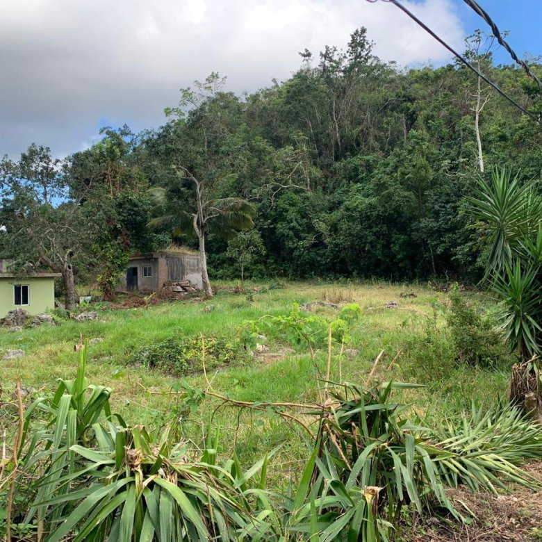 First image of Lot 14 Red Bank in Hatfield, Manchester, Jamaica - property is For Sale