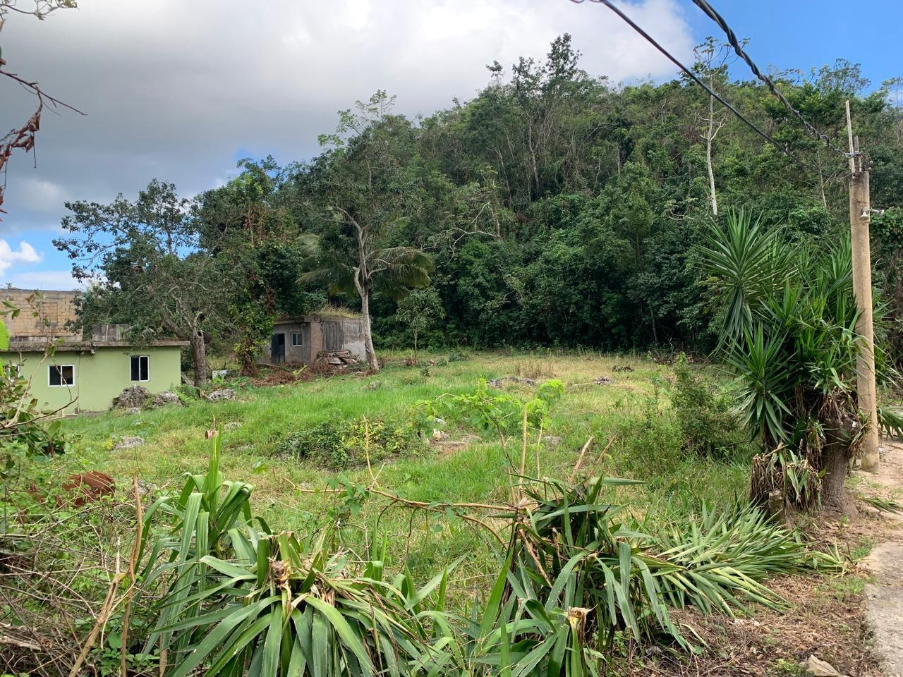 First image of Lot 14 Red Bank in Hatfield, Manchester, Jamaica - property is For Sale