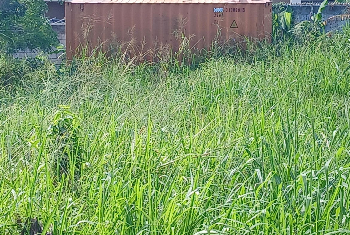 Seventh image of Lot-52 Happy Grov, Ridgeway Aven in Red Hills, St. Andrew, Jamaica - property is For Sale