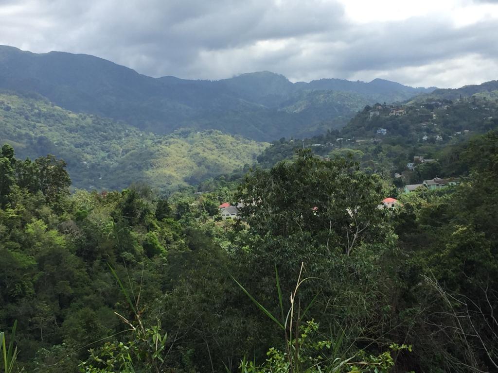 Second image of 27 Sherbourne Drive, in Kingston 9, St. Andrew, Jamaica - property is For Sale