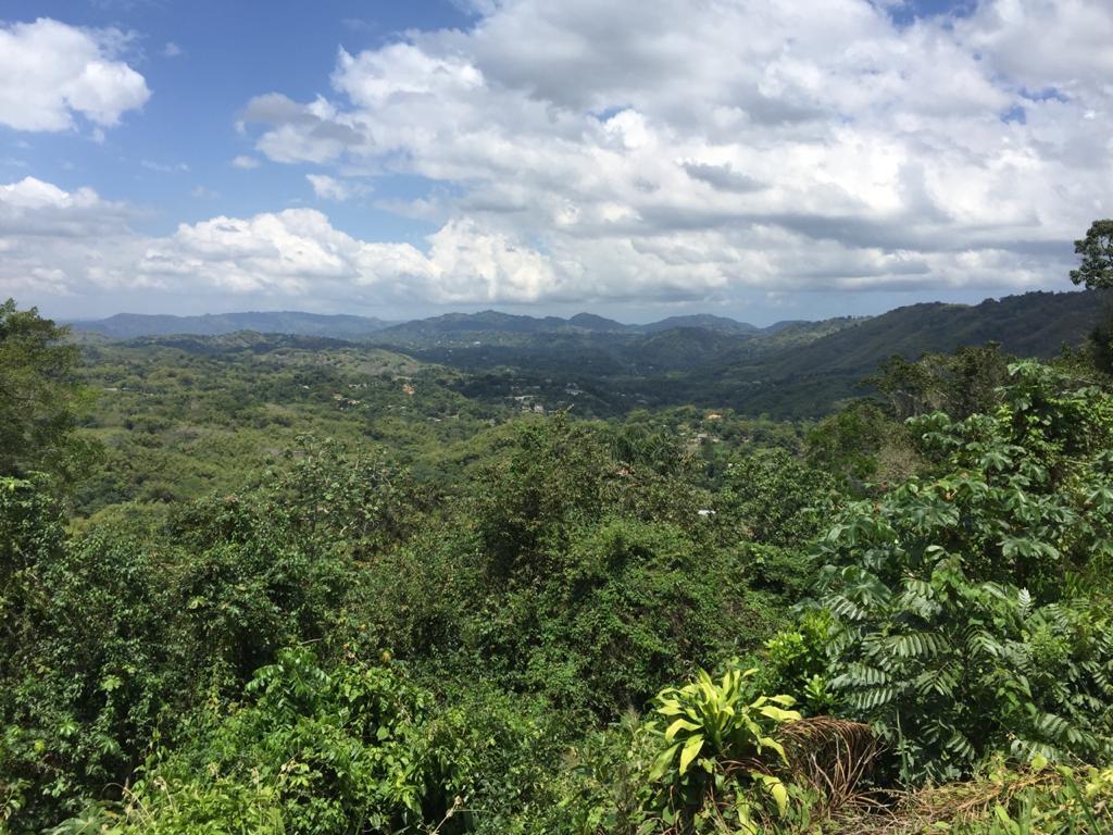 Fourth image of 27 Sherbourne Drive, in Kingston 9, St. Andrew, Jamaica - property is For Sale