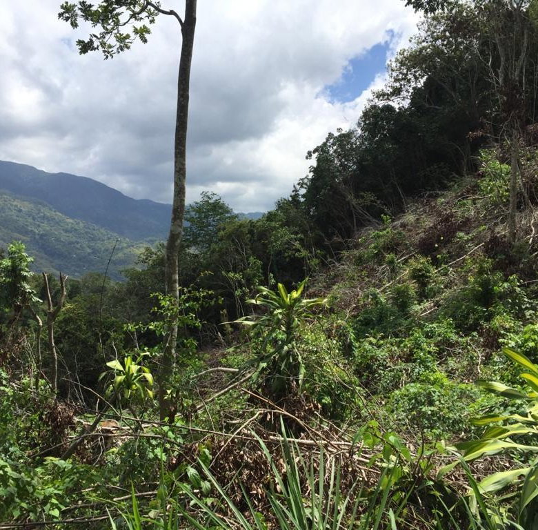 First image of 27 Sherbourne Drive, in Kingston 9, St. Andrew, Jamaica - property is For Sale