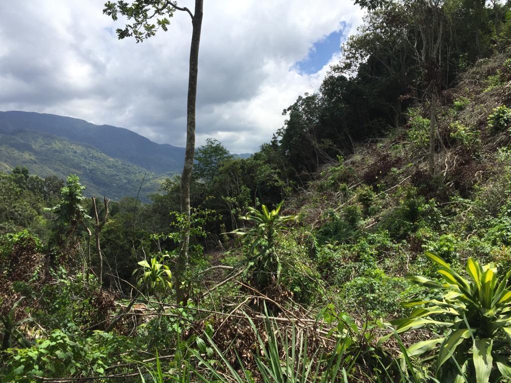 First image of 27 Sherbourne Drive, in Kingston 9, St. Andrew, Jamaica - property is For Sale