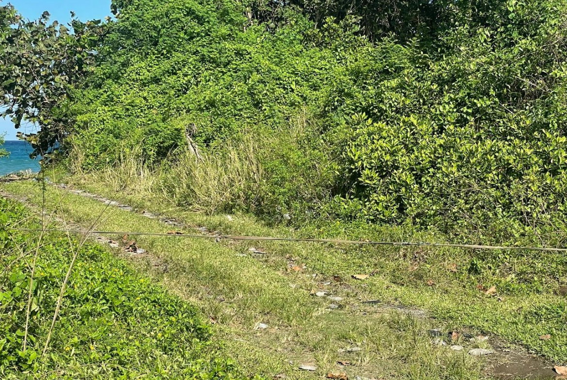 Third image of Lot 7- st Margarets Bay in St. Margaret's Bay, Portland, Jamaica - property is For Sale