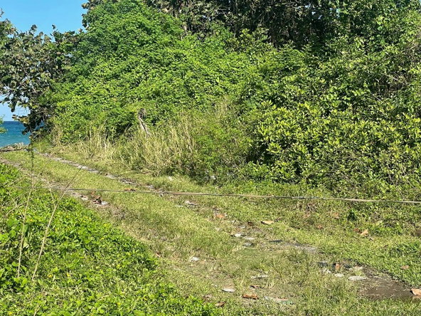 Third image of Lot 7- st Margarets Bay in St. Margaret's Bay, Portland, Jamaica - property is For Sale