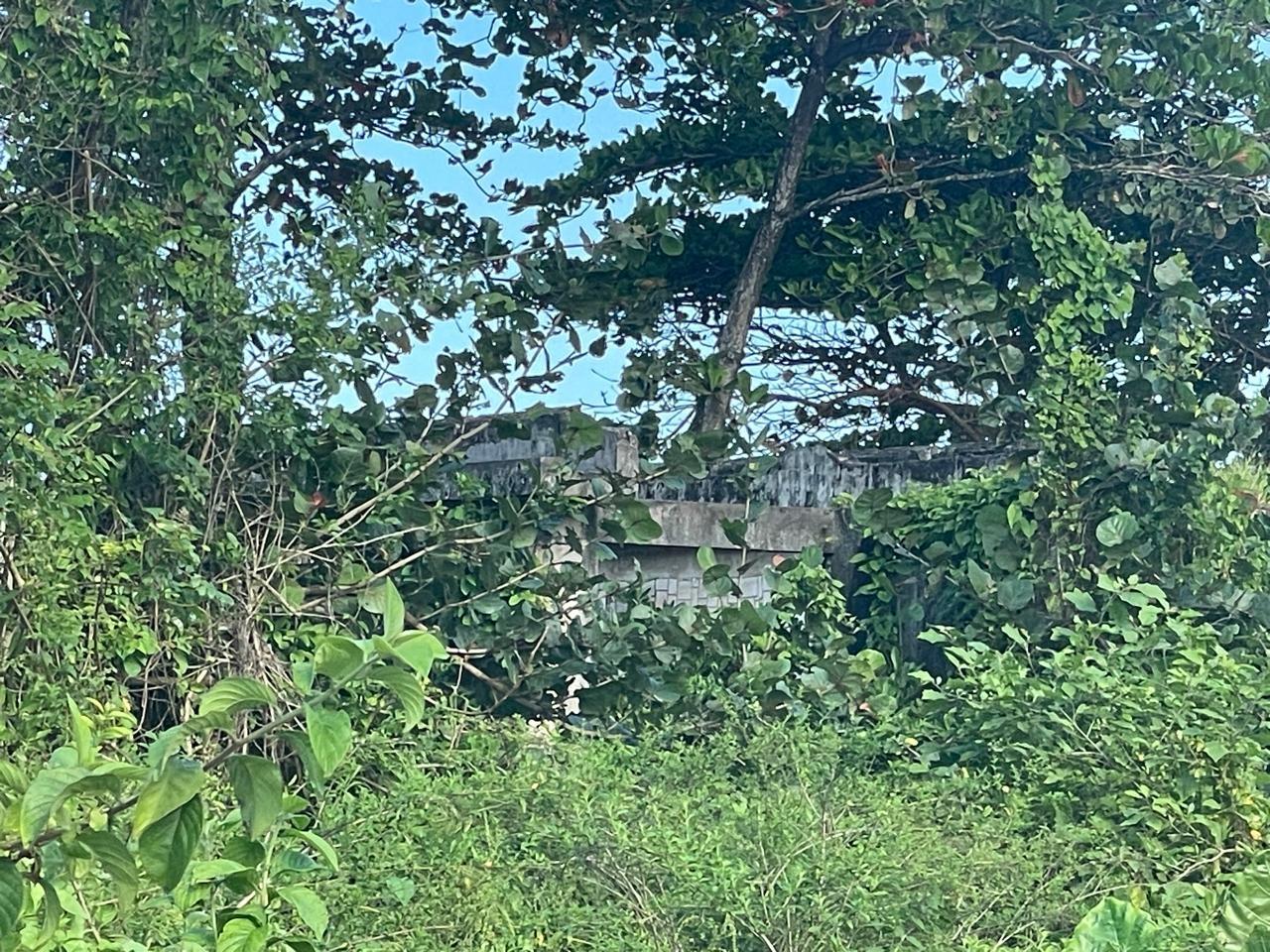 Fourth image of Lot 7- st Margarets Bay in St. Margaret's Bay, Portland, Jamaica - property is For Sale