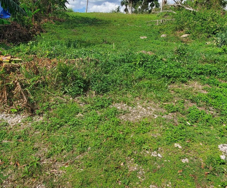 Second image of 61 Williamsfield Gardens in Williamsfield, Manchester, Jamaica - property is For Sale
