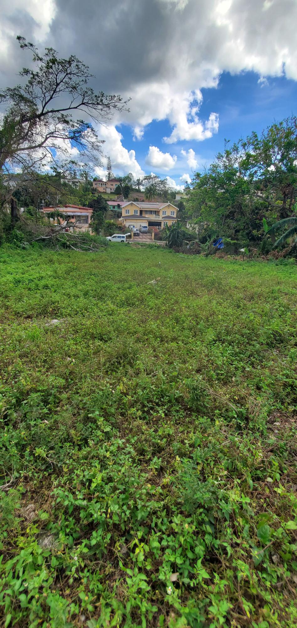 Third image of 61 Williamsfield Gardens in Williamsfield, Manchester, Jamaica - property is For Sale