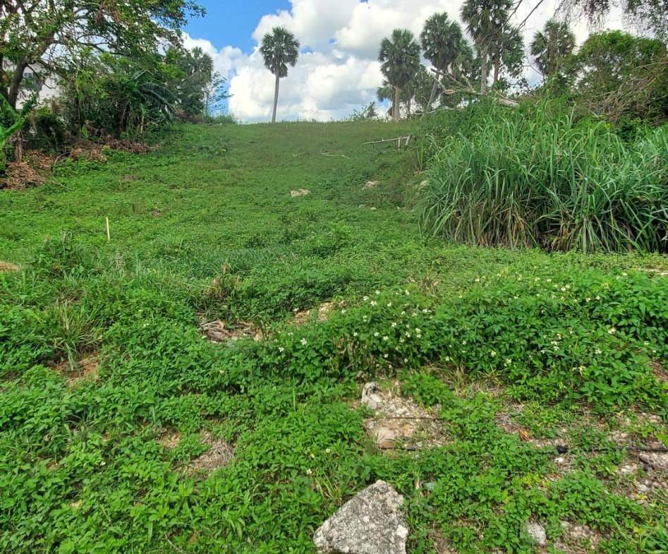 Fourth image of 61 Williamsfield Gardens in Williamsfield, Manchester, Jamaica - property is For Sale