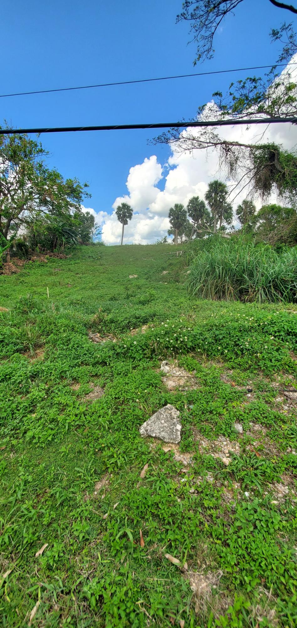 Fourth image of 61 Williamsfield Gardens in Williamsfield, Manchester, Jamaica - property is For Sale