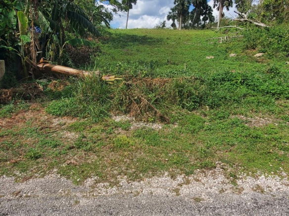 First image of 61 Williamsfield Gardens in Williamsfield, Manchester, Jamaica - property is For Sale