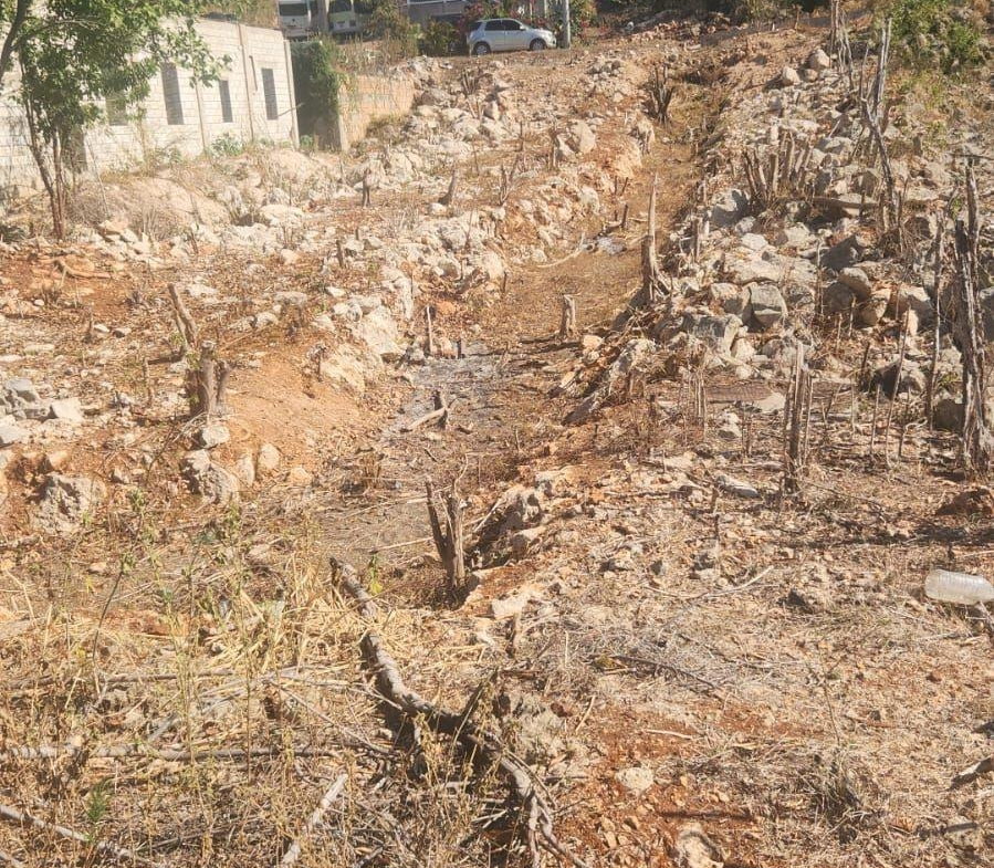 Fifth image of Lot-630 Petal Drive, in Runaway Bay, St. Ann, Jamaica - property is For Sale