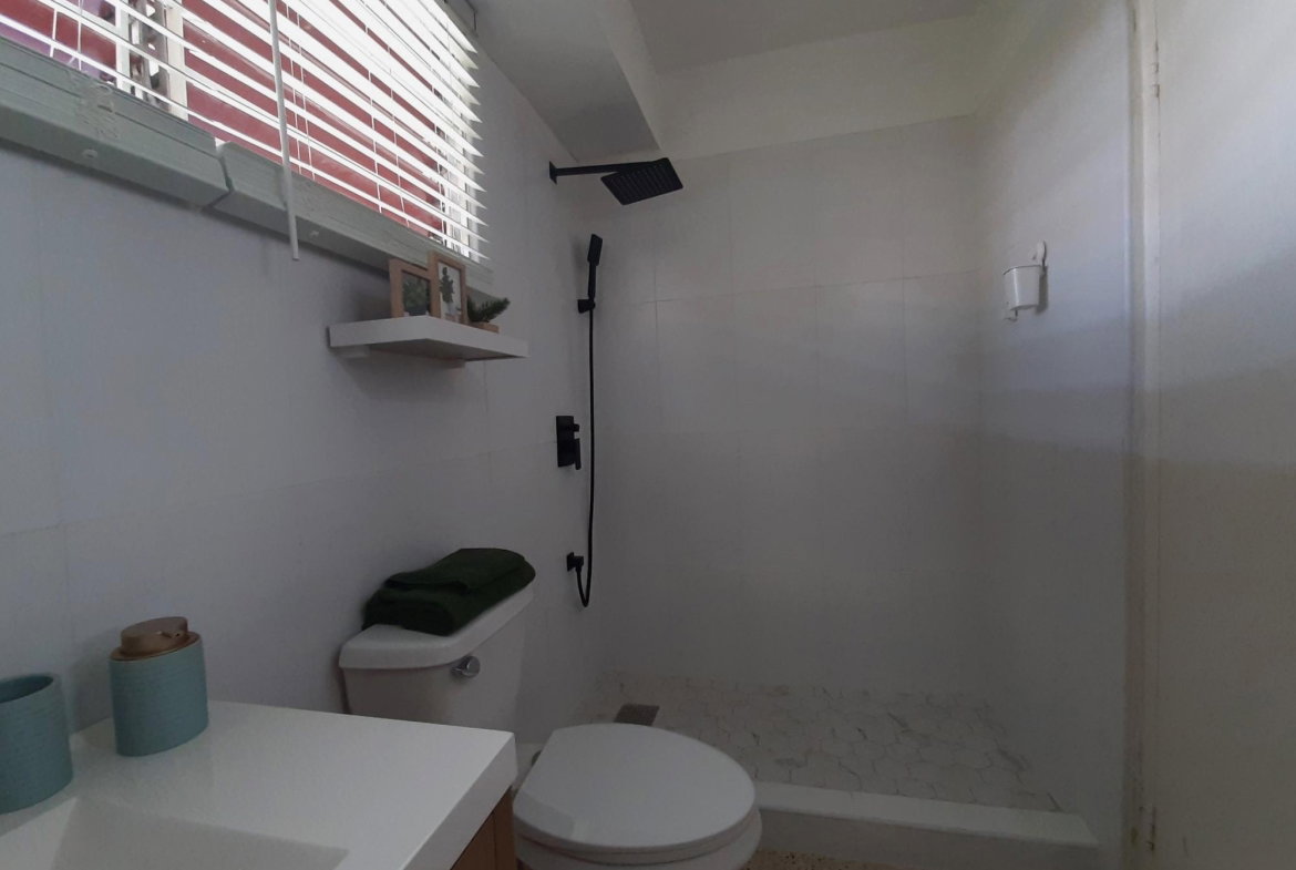 Fourteenth image of 11-5 Upper Musgrave Avenue in Kingston 5, St. Andrew, Jamaica - property is For Rent