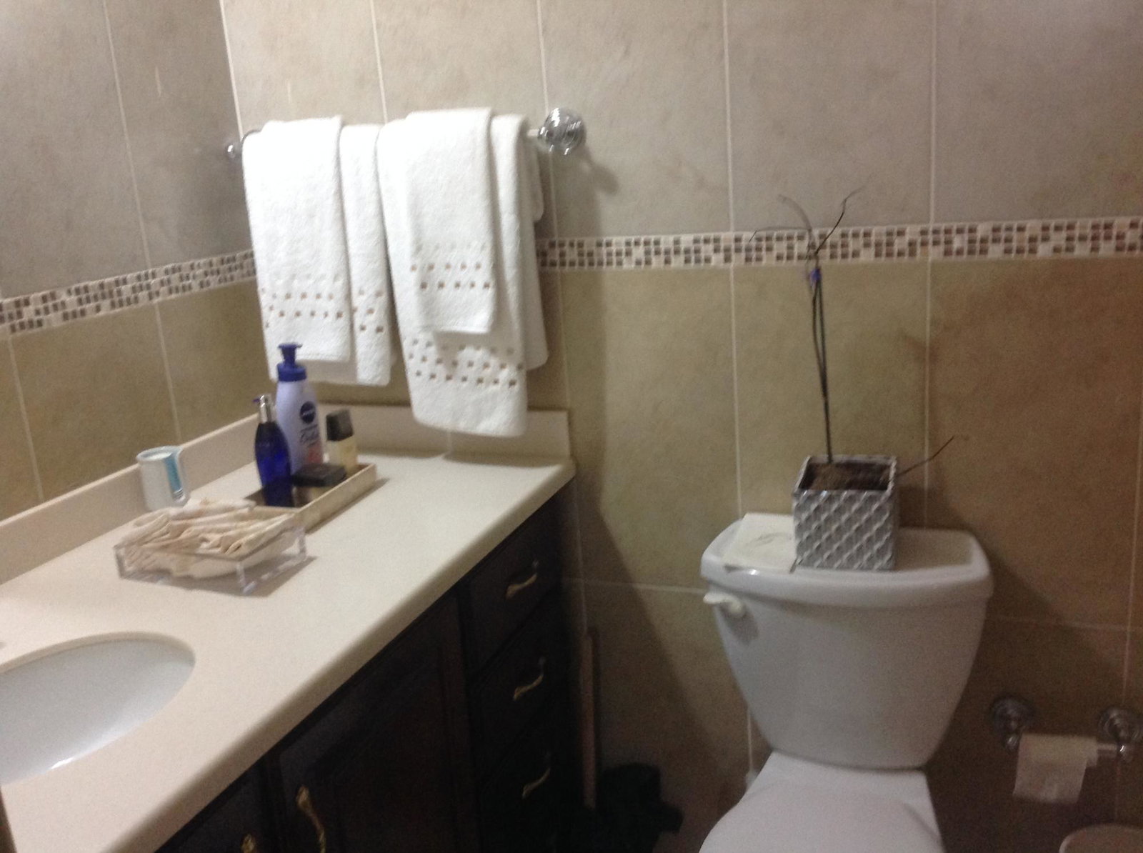 Eleventh image of 2- 11 Braemar Ave in Kingston 10, St. Andrew, Jamaica - property is For Rent