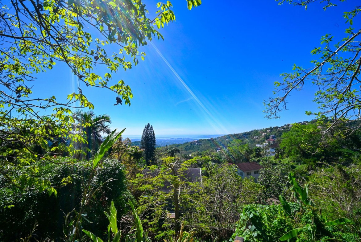 Fifth image of 11 Fort George Crescent in Kingston 9, St. Andrew, Jamaica - property is For Sale