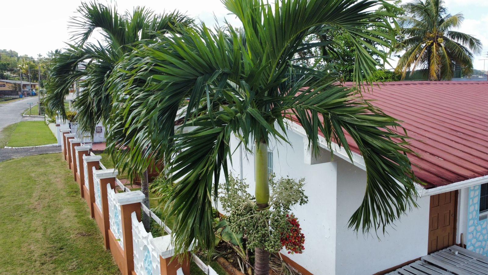 Eleventh image of Lot 81 Sheridan Drive Fai in Mandeville, Manchester, Jamaica - property is For Sale