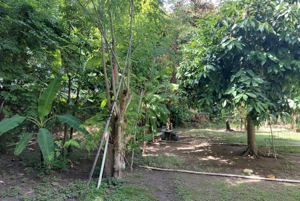 Twentieth image of 3 Junor Avenue in Kingston 8, St. Andrew, Jamaica - property is For Sale