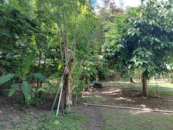 Twentieth image of 3 Junor Avenue in Kingston 8, St. Andrew, Jamaica - property is For Sale