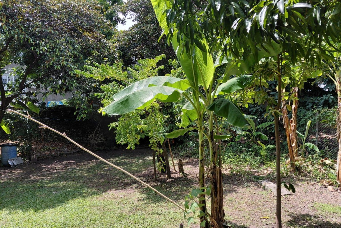 Twenty-Fourth image of 3 Junor Avenue in Kingston 8, St. Andrew, Jamaica - property is For Sale
