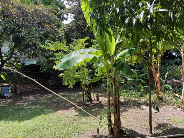 Twenty-Fourth image of 3 Junor Avenue in Kingston 8, St. Andrew, Jamaica - property is For Sale