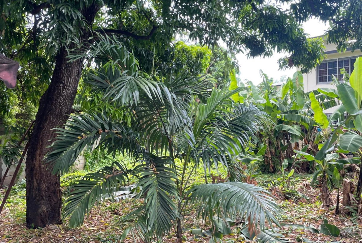 Fourteenth image of Apt #2-1 Lounsbury Avenue in Kingston 8, St. Andrew, Jamaica - property is For Sale