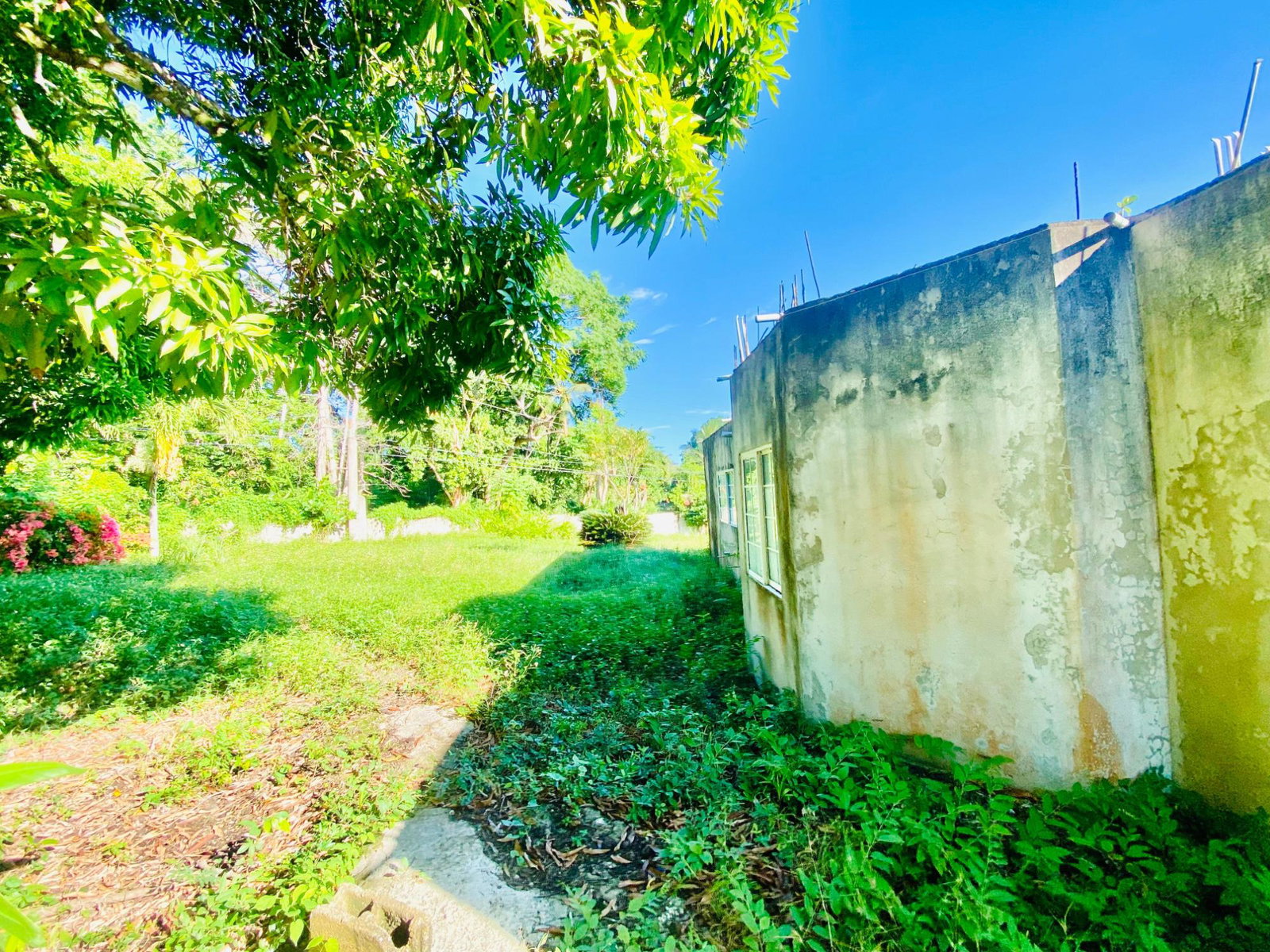 Sixth image of Upton, St. Ann in Ocho Rios, St. Ann, Jamaica - property is For Sale