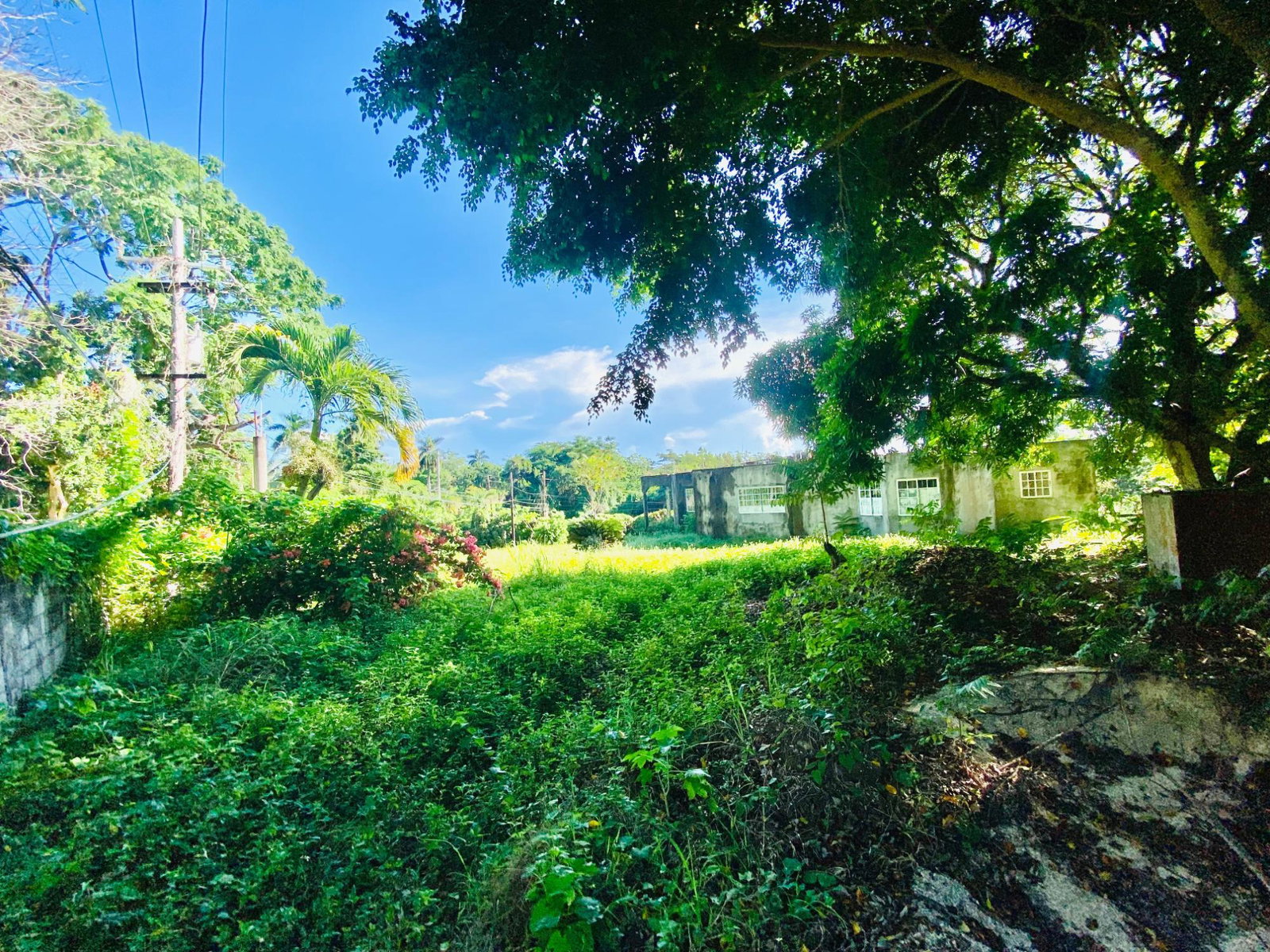 Ninth image of Upton, St. Ann in Ocho Rios, St. Ann, Jamaica - property is For Sale