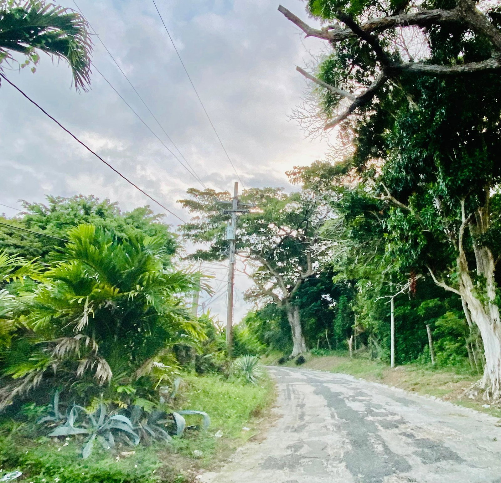 Tenth image of Upton, St. Ann in Ocho Rios, St. Ann, Jamaica - property is For Sale