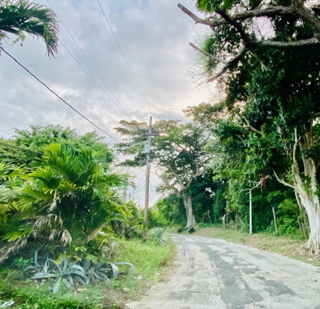 Tenth image of Upton, St. Ann in Ocho Rios, St. Ann, Jamaica - property is For Sale