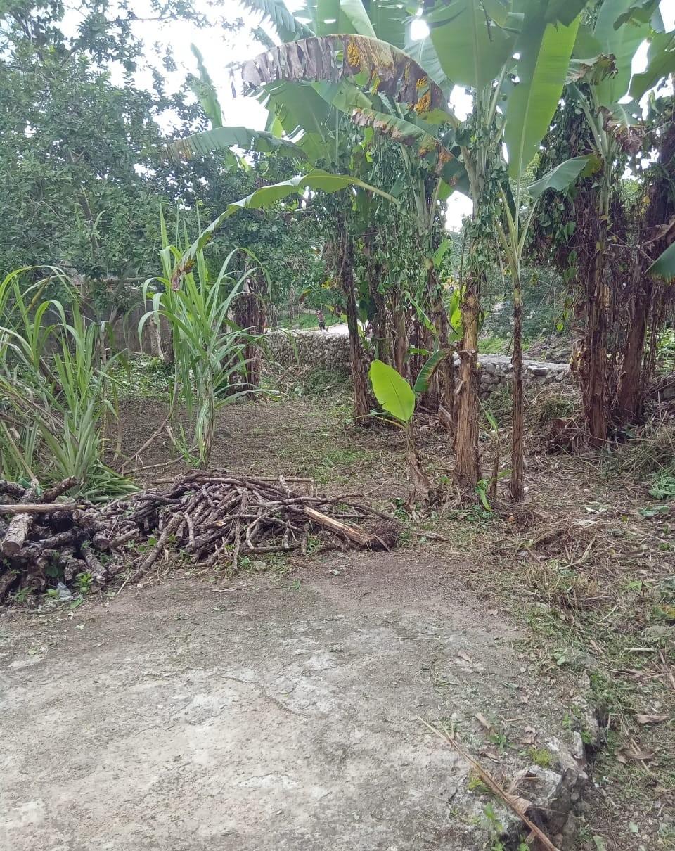 Fifth image of Lot 5 Golden Spring in Kingston 9, St. Andrew, Jamaica - property is For Sale