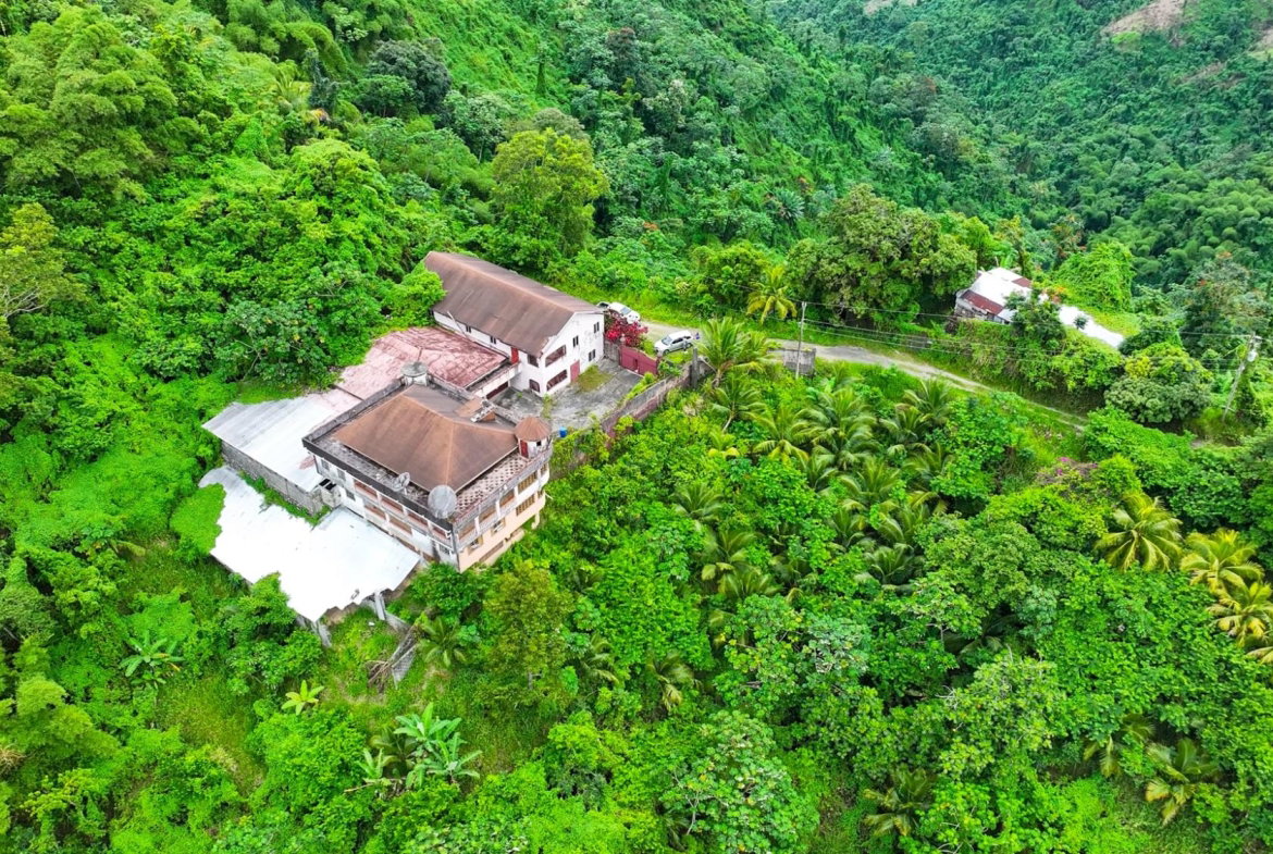 Third image of Shirley Castle, Blue Mtn Coffee Plantation in Shirley Castle, Portland, Jamaica - property is For Sale