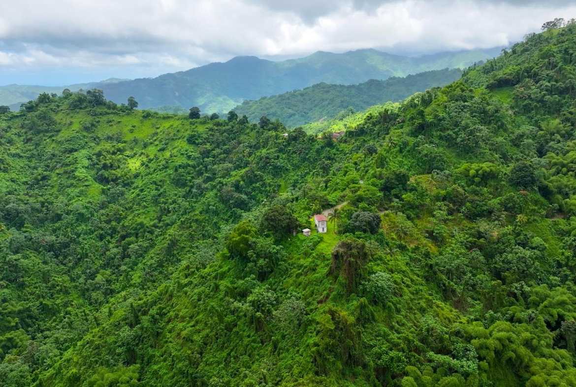 Fifth image of Shirley Castle, Blue Mtn Coffee Plantation in Shirley Castle, Portland, Jamaica - property is For Sale