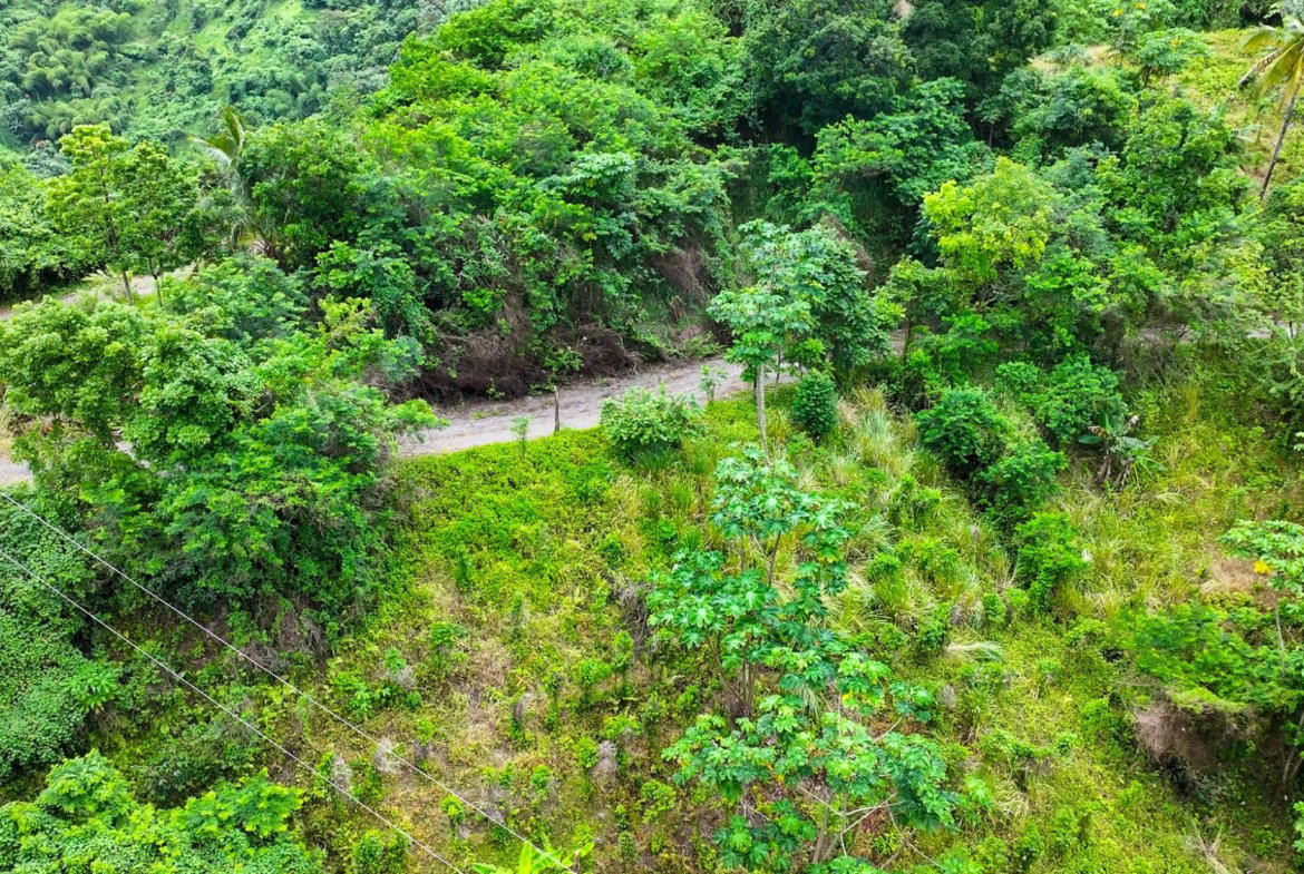 Sixth image of Shirley Castle, Blue Mtn Coffee Plantation in Shirley Castle, Portland, Jamaica - property is For Sale