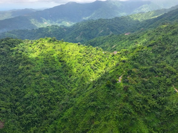 First image of Shirley Castle, Blue Mtn Coffee Plantation in Shirley Castle, Portland, Jamaica - property is For Sale
