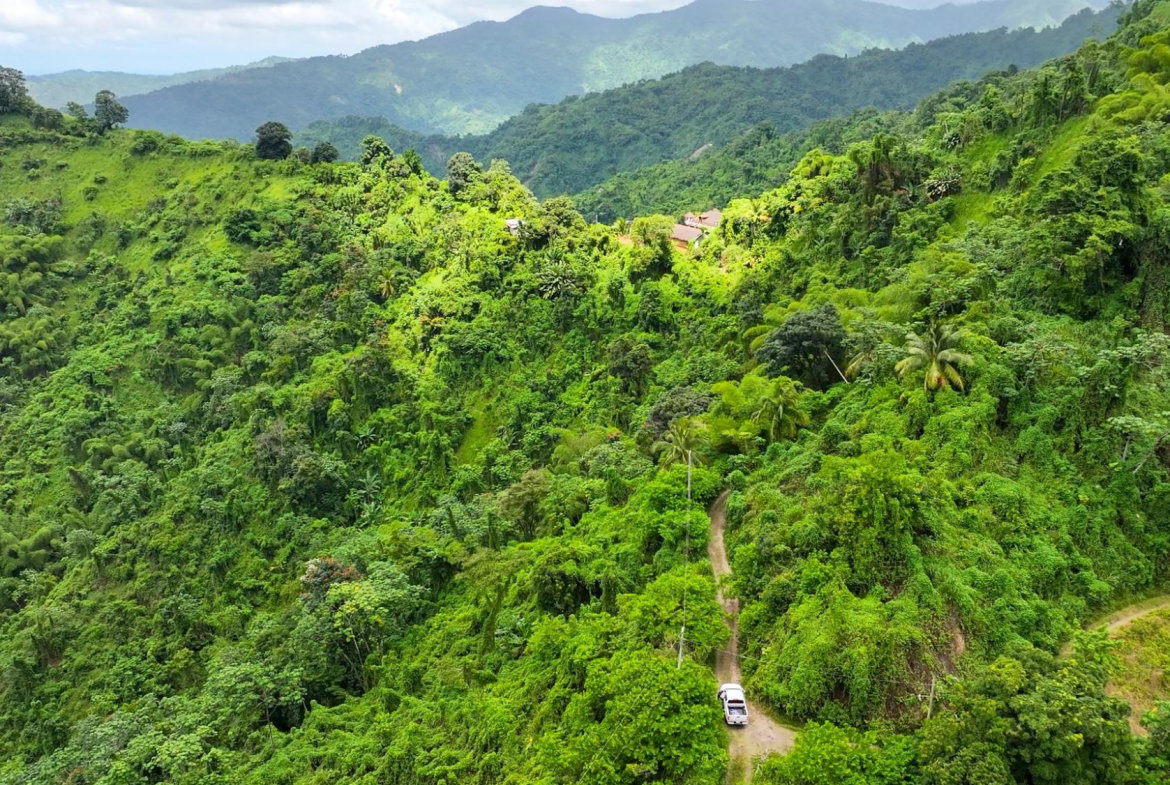 Seventh image of Shirley Castle, Blue Mtn Coffee Plantation in Shirley Castle, Portland, Jamaica - property is For Sale