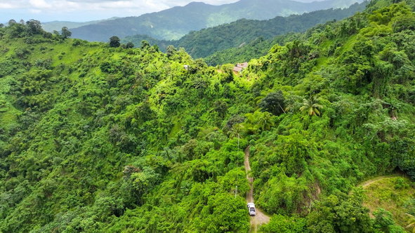 Seventh image of Shirley Castle, Blue Mtn Coffee Plantation in Shirley Castle, Portland, Jamaica - property is For Sale