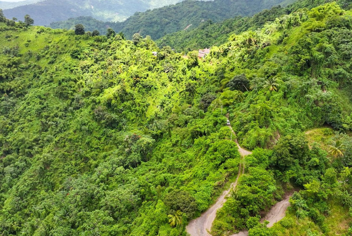 Eighth image of Shirley Castle, Blue Mtn Coffee Plantation in Shirley Castle, Portland, Jamaica - property is For Sale