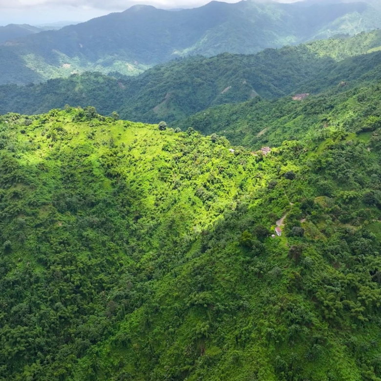 First image of Shirley Castle, Blue Mtn Coffee Plantation in Shirley Castle, Portland, Jamaica - property is For Sale
