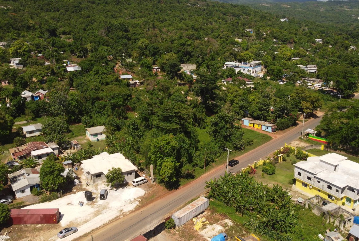 Sixth image of Farm Pen in Farm Pen, Westmoreland, Jamaica - property is For Sale