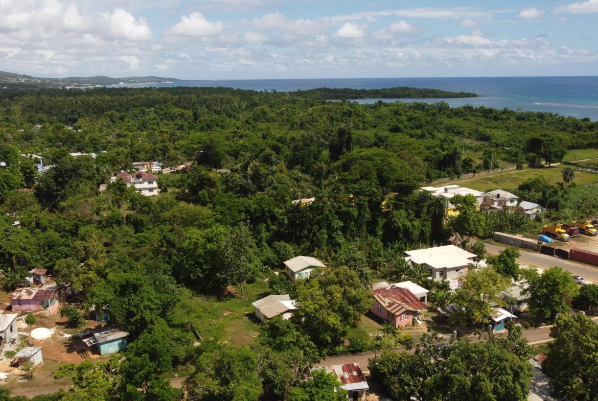 Seventh image of Farm Pen in Farm Pen, Westmoreland, Jamaica - property is For Sale