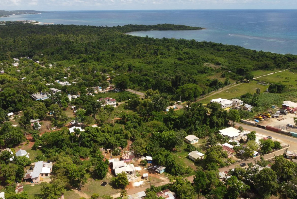 Ninth image of Farm Pen in Farm Pen, Westmoreland, Jamaica - property is For Sale