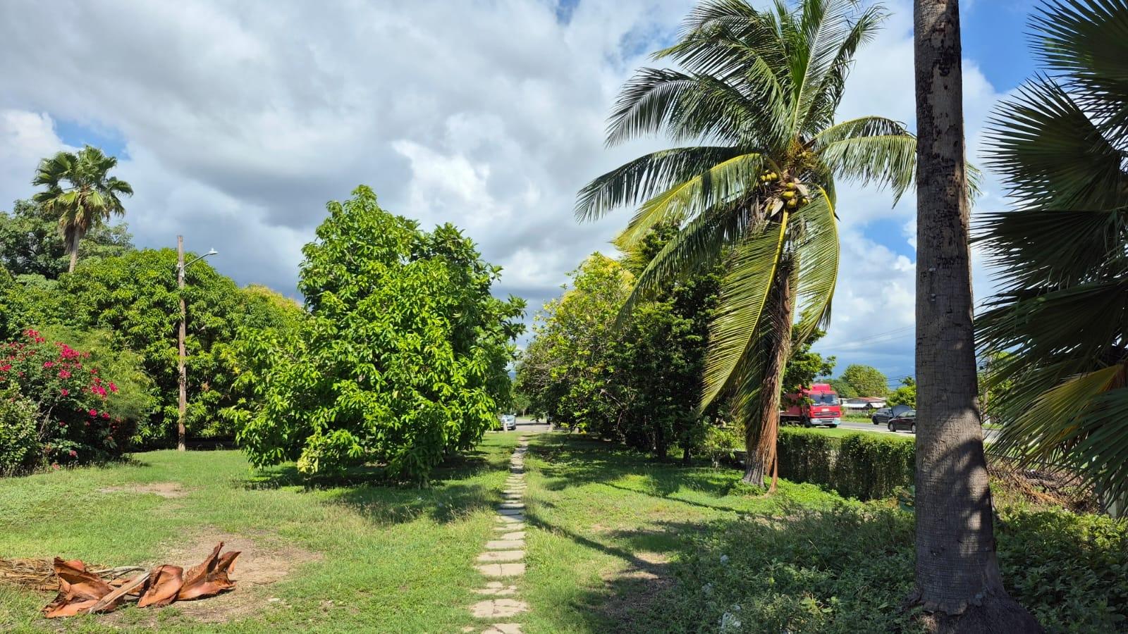 Sixteenth image of 365 Breadnut Close in Bridgeview, St. Catherine, Jamaica - property is For Rent
